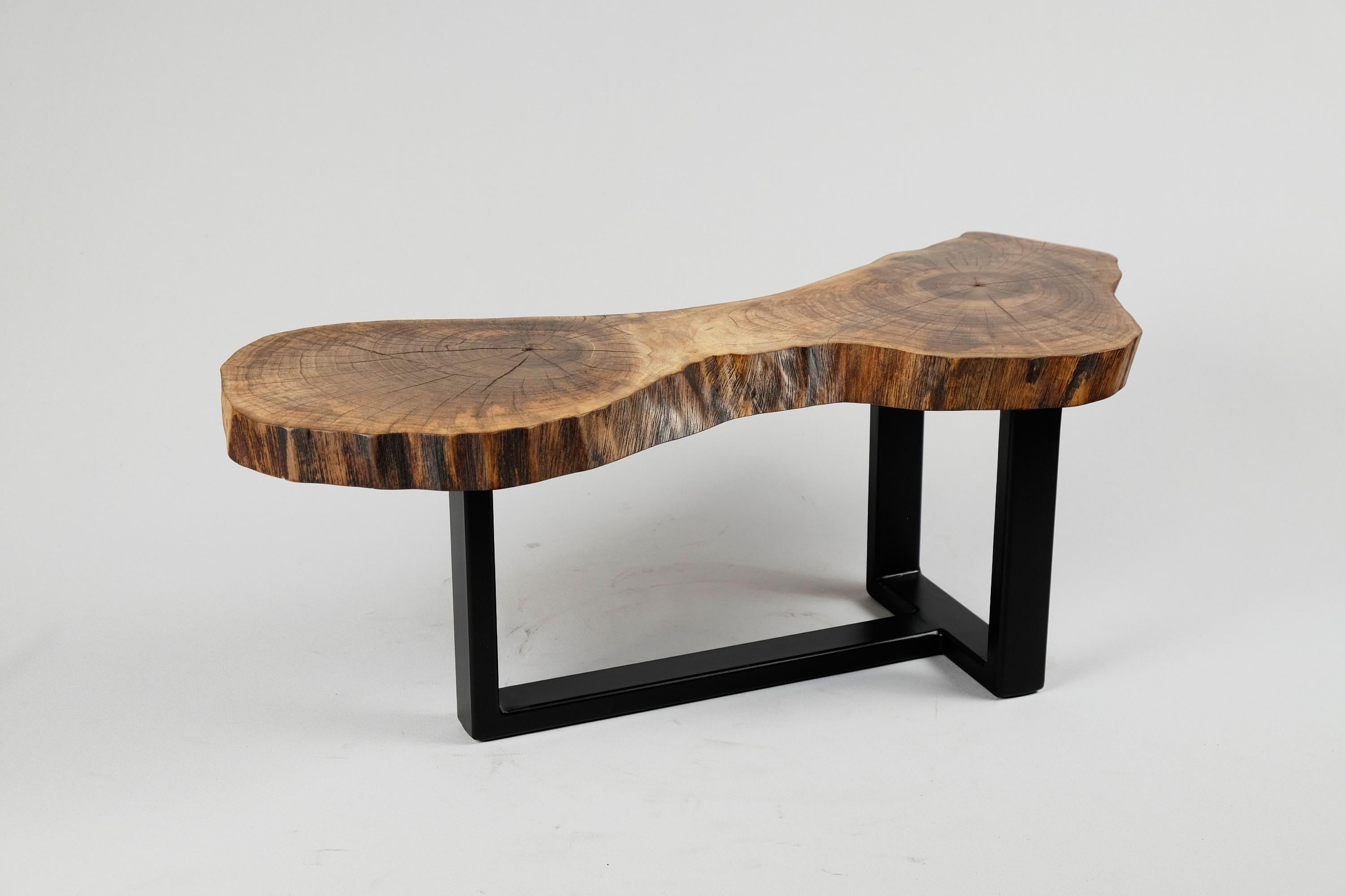 Original Contemporary Design, Burnt Oak with Steel, Unique Side Table, Logniture 6