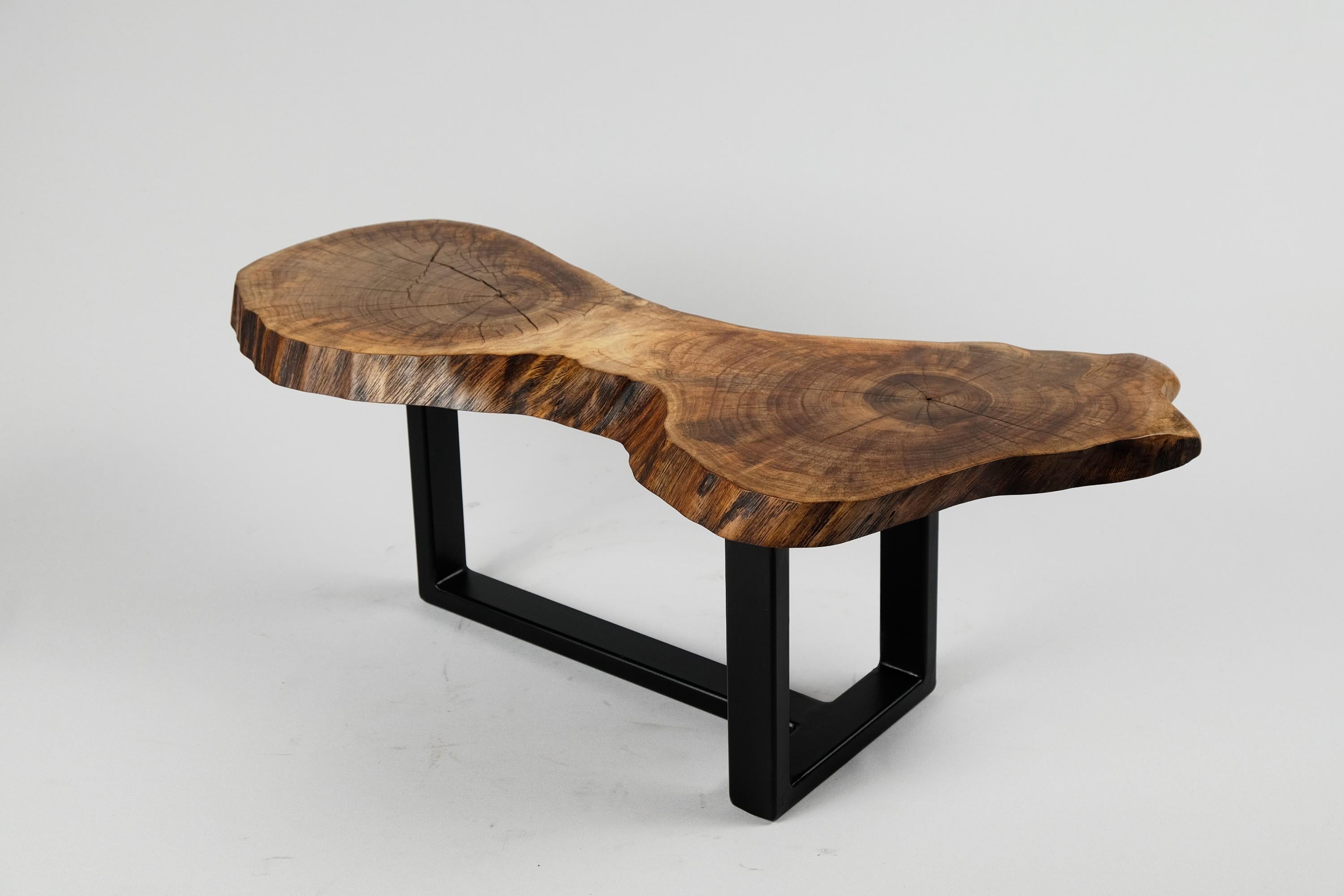 Croatian Original Contemporary Design, Burnt Oak with Steel, Unique Side Table, Logniture