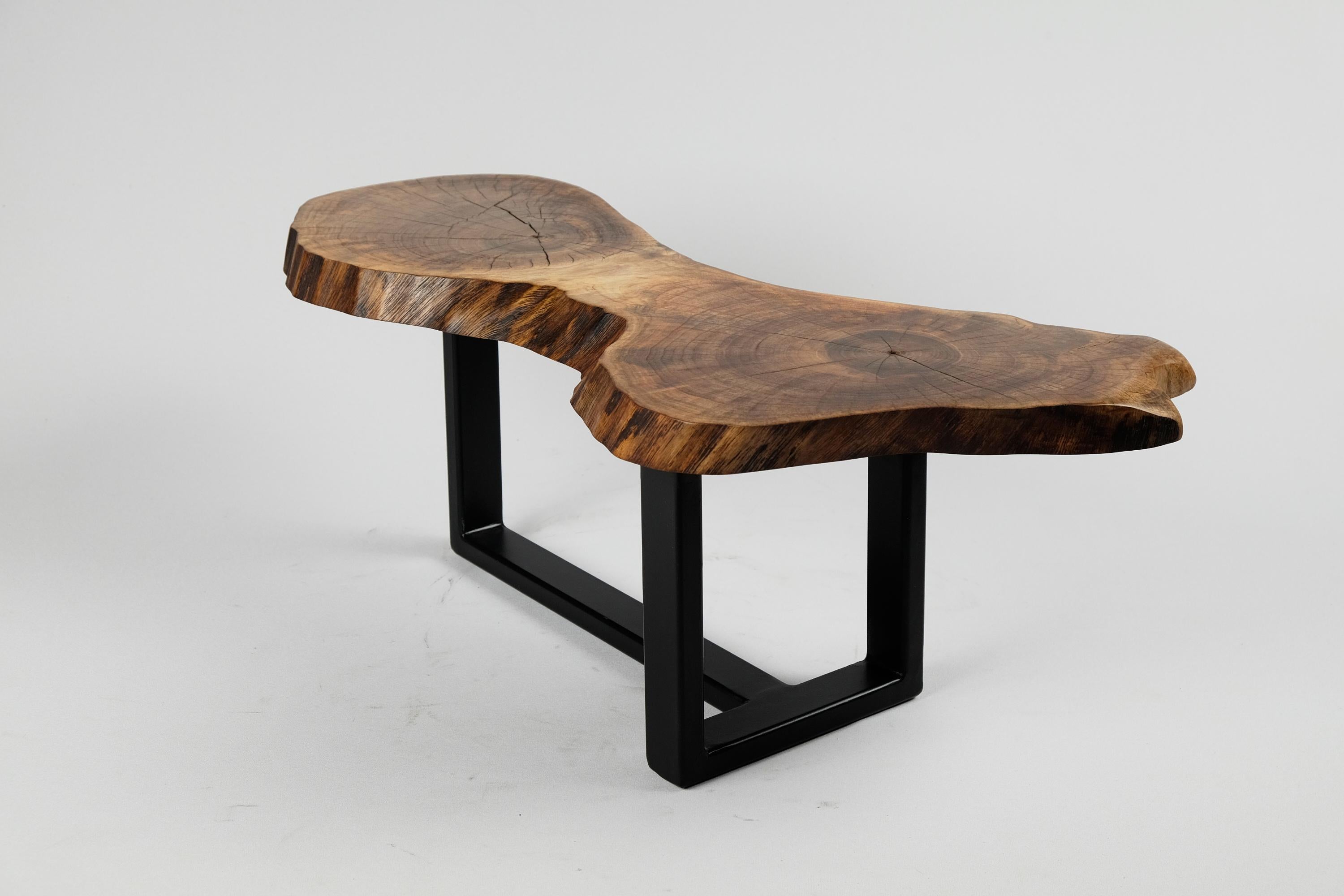 Hand-Crafted Original Contemporary Design, Burnt Oak with Steel, Unique Side Table, Logniture