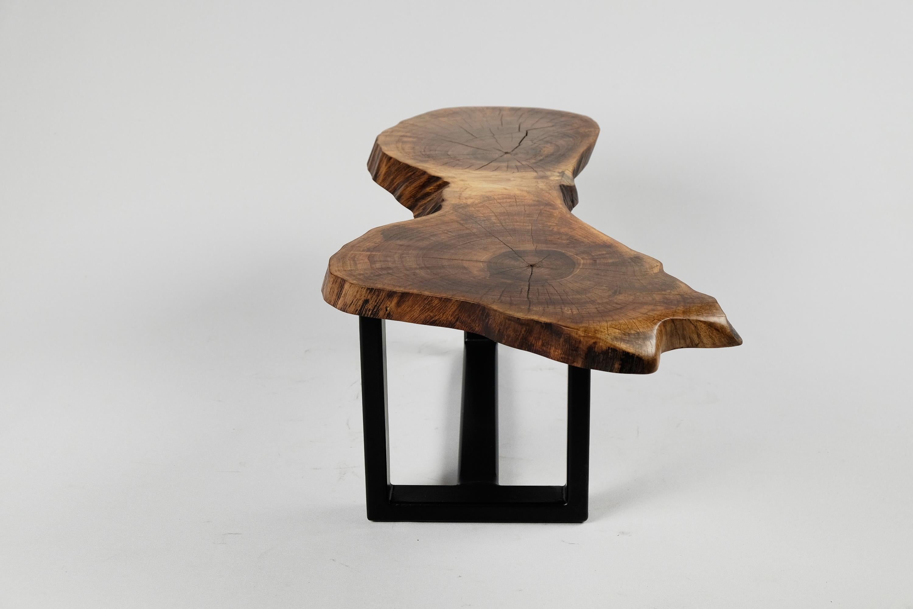 Original Contemporary Design, Burnt Oak with Steel, Unique Side Table, Logniture In New Condition In Stara Gradiška, HR
