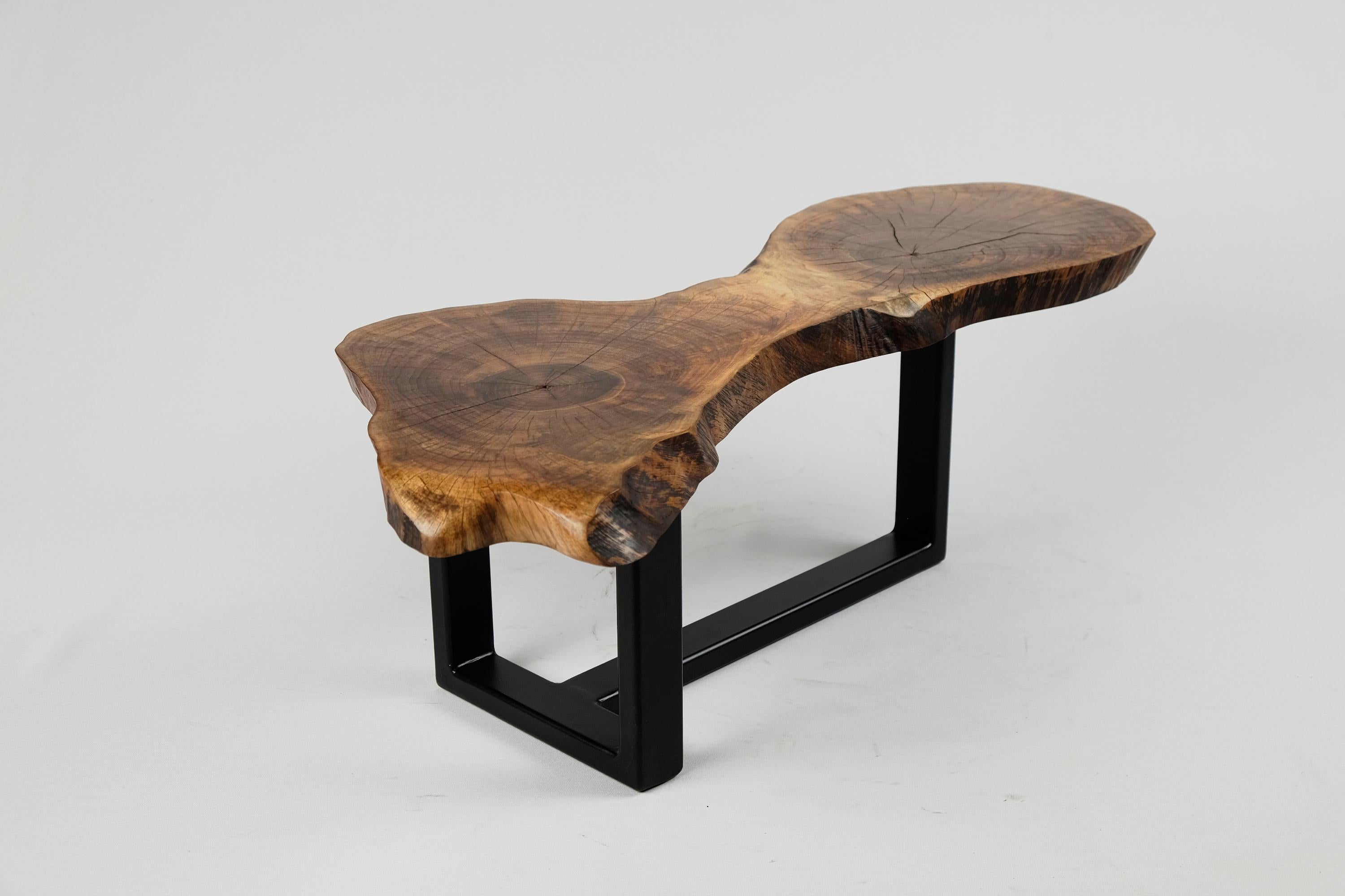 Original Contemporary Design, Burnt Oak with Steel, Unique Side Table, Logniture 1