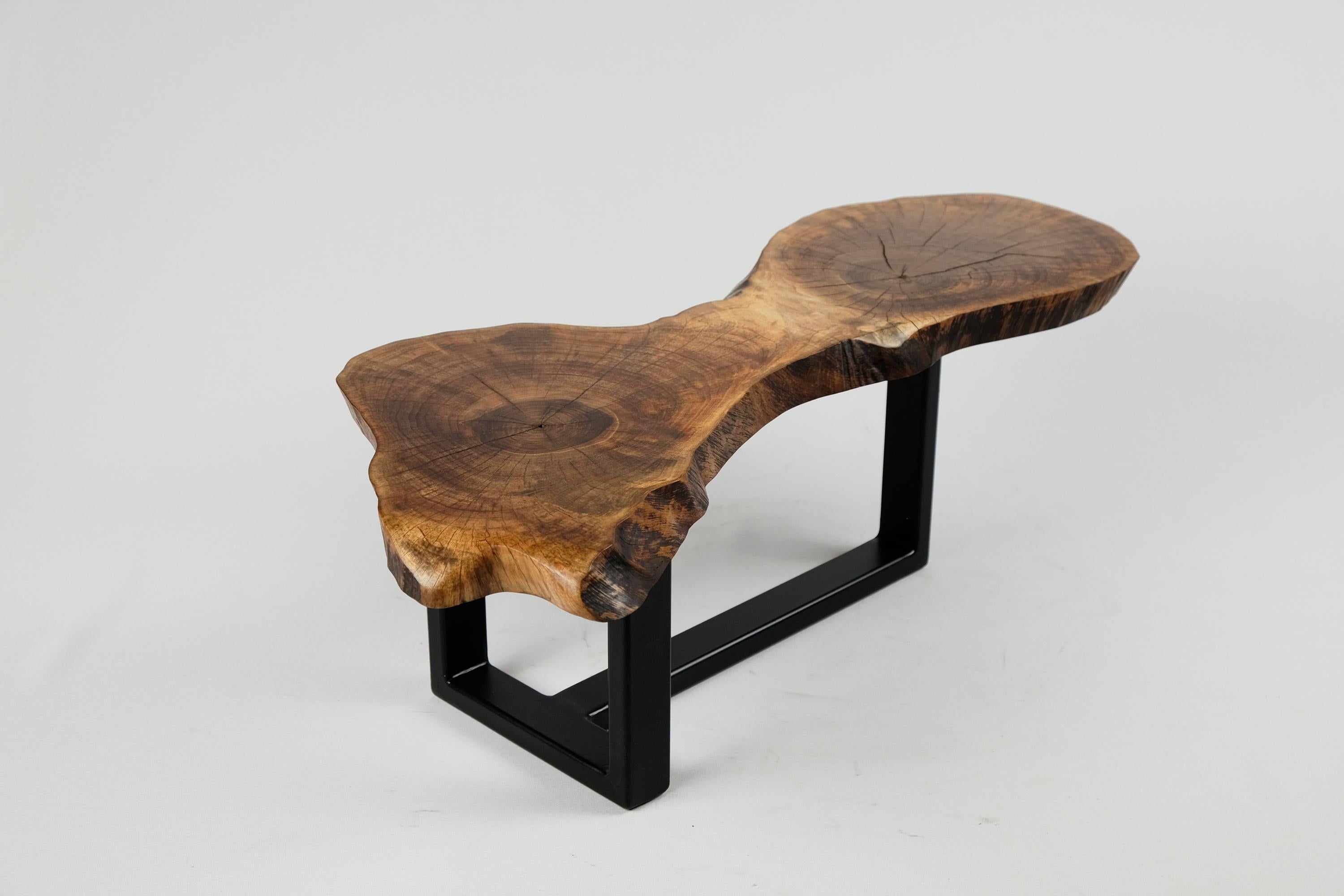 Original Contemporary Design, Burnt Oak with Steel, Unique Side Table, Logniture 2