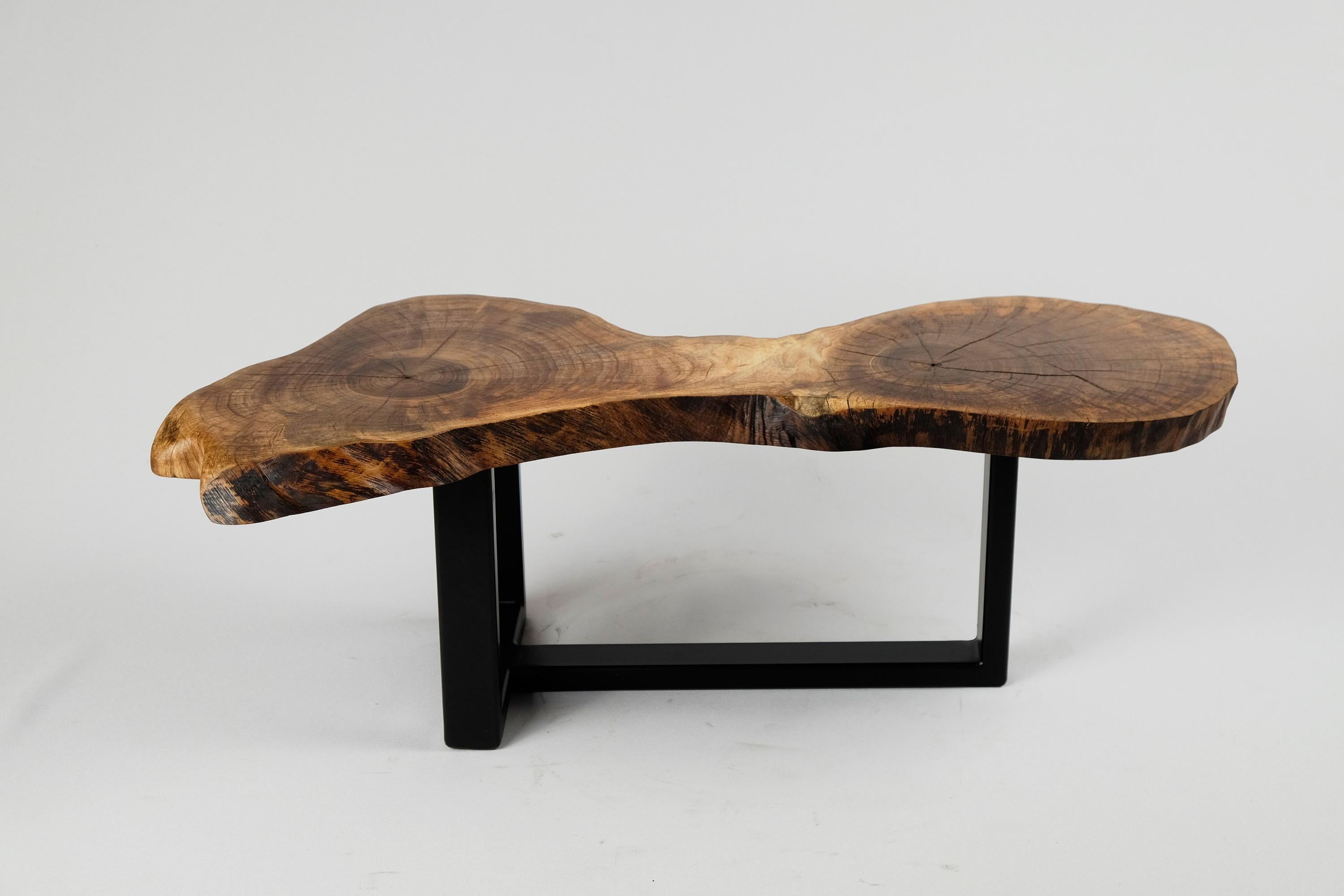 Original Contemporary Design, Burnt Oak with Steel, Unique Side Table, Logniture 3
