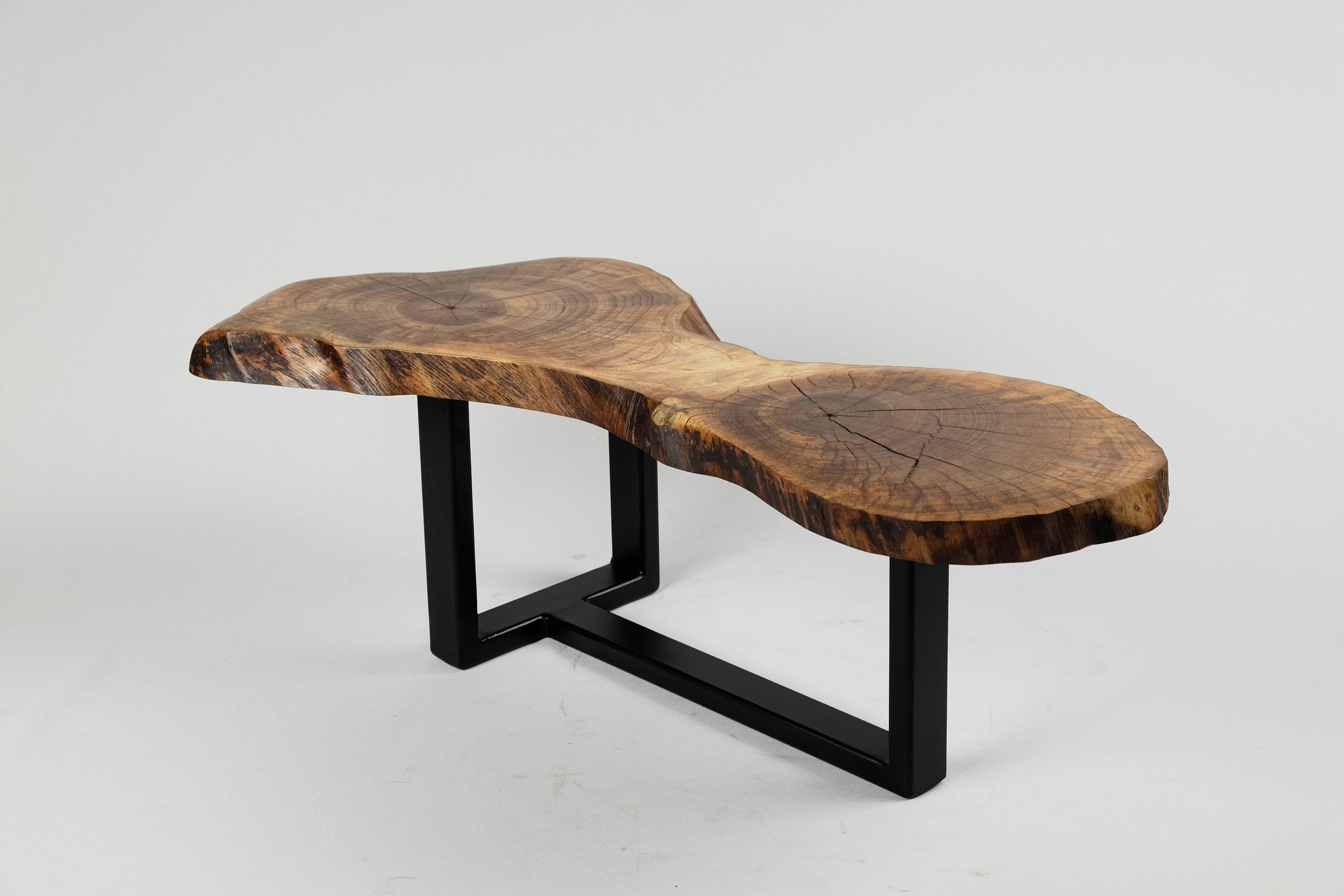Original Contemporary Design, Burnt Oak with Steel, Unique Side Table, Logniture 4