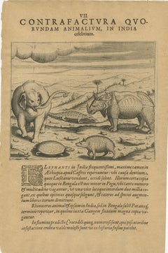 Original Copper Engraving of Various Celebrated Animals in India by De Bry, 1601