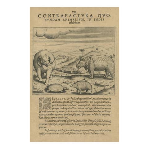 Original Copper Engraving of Various Celebrated Animals in India by De Bry, 1601