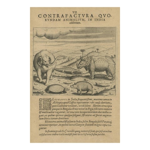 Original Copper Engraving of Various Celebrated Animals in India by De Bry, 1601