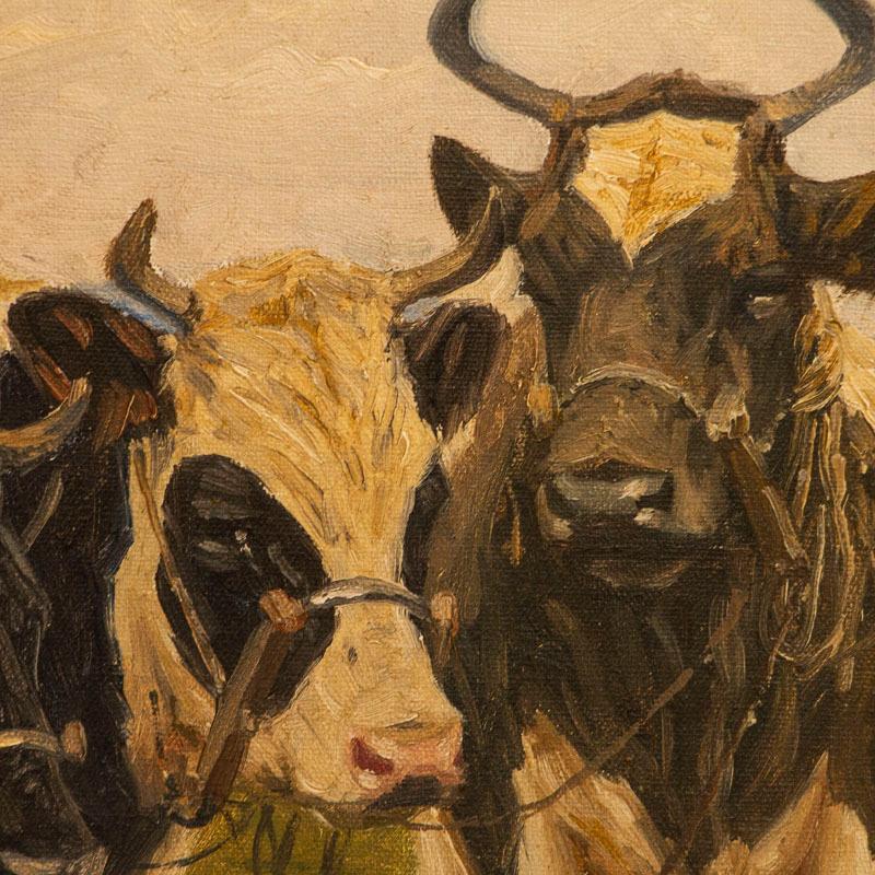 Original Danish Oil on Canvas Painting of Man with Cows Signed Poul Steffensen 1