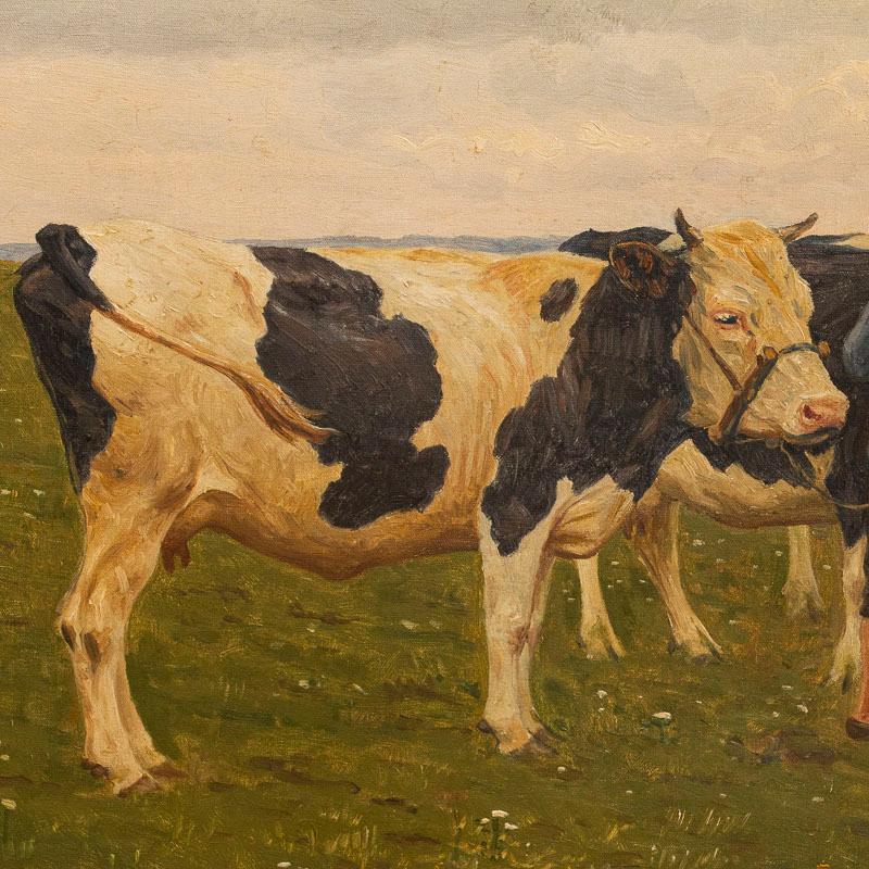 Original Danish Oil on Canvas Painting of Man with Cows Signed Poul Steffensen 2