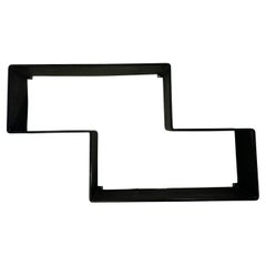 Vintage Original Dédal Shelves by Mathieu Matégot