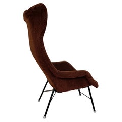 Vintage Original Design Fiberglass Wing Chair by Miroslav Navratil, 1970s
