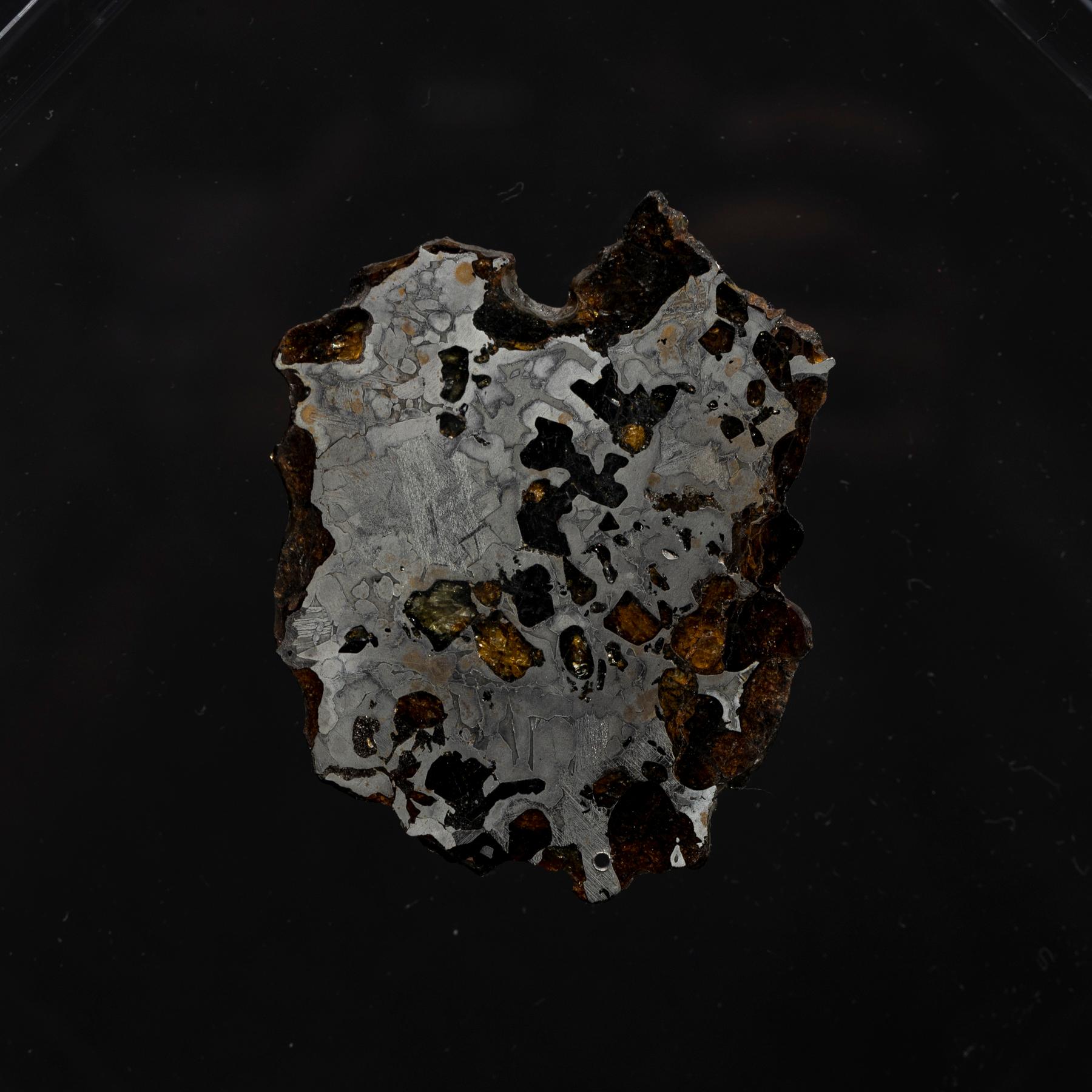 Acrilico Design originale, Seymchan con Meteorite di Olivina in un espositore in acrilico in vendita