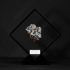 Original-Design, Seymchan mit Olivine Meteorit in schwarzem Acryl-Vitrinen