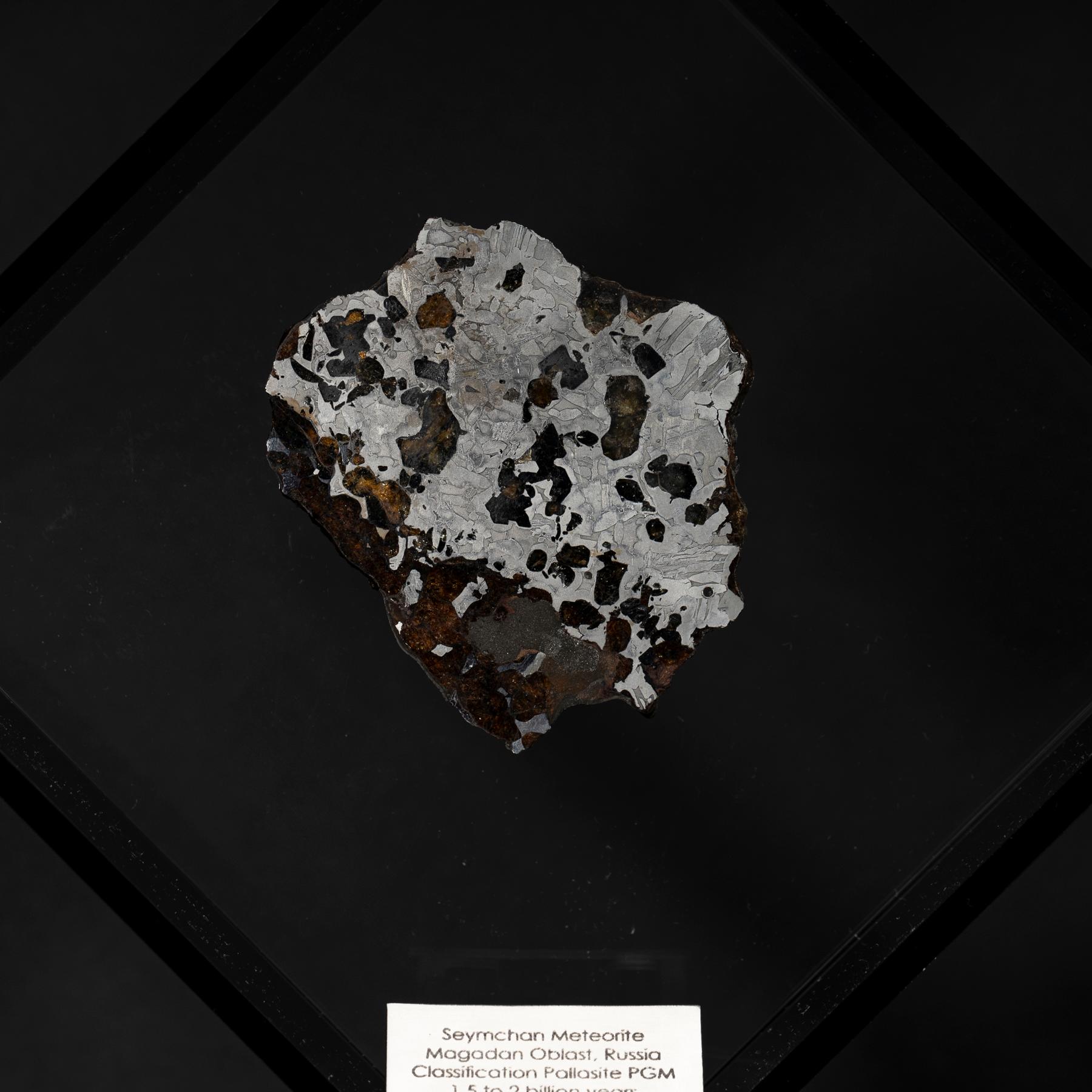 Conception originale, Seymchan avec Olivine Meteorite dans une vitrine en acrylique noire Neuf - En vente à Polanco, CDMX