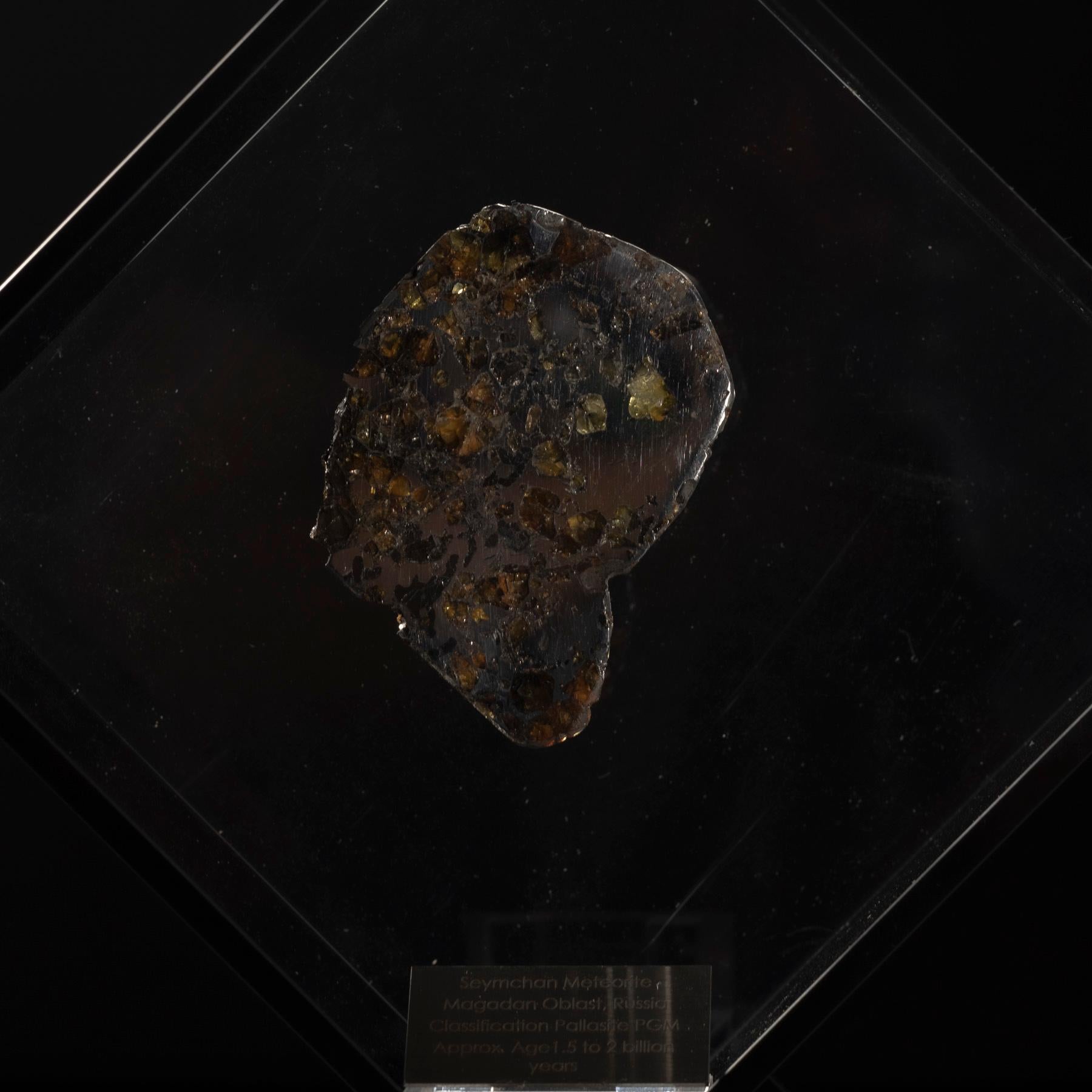 XXIe siècle et contemporain Conception originale, Seymchan avec Olivine Meteorite dans une vitrine en acrylique noire en vente