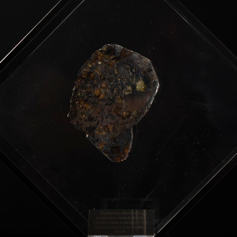 Contemporary Original Design, Seymchan with Olivine Meteorite in a Black Acrylic Display For Sale