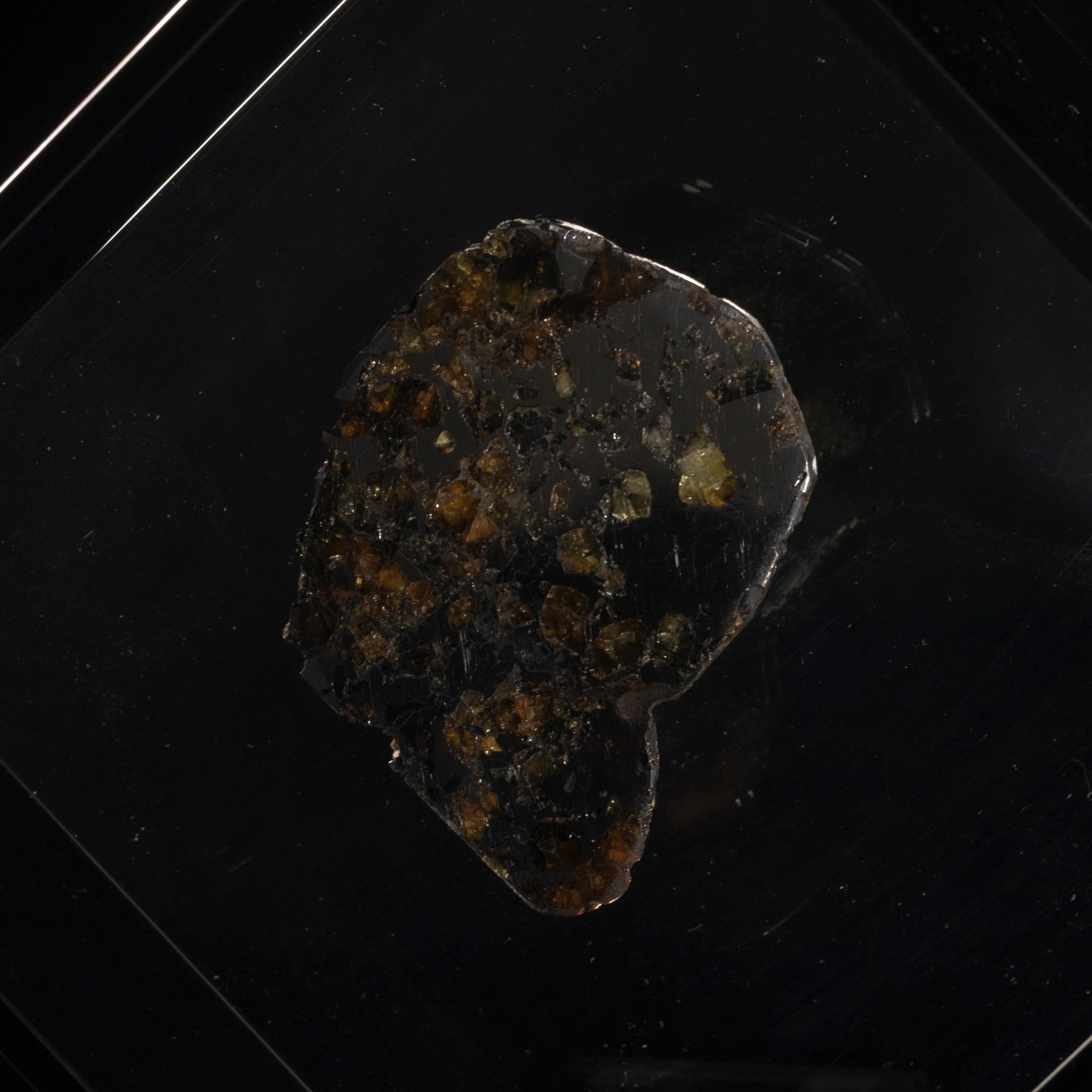 Acrilico Design originale, Seymchan con Meteorite di Olivina in un espositore in acrilico nero in vendita