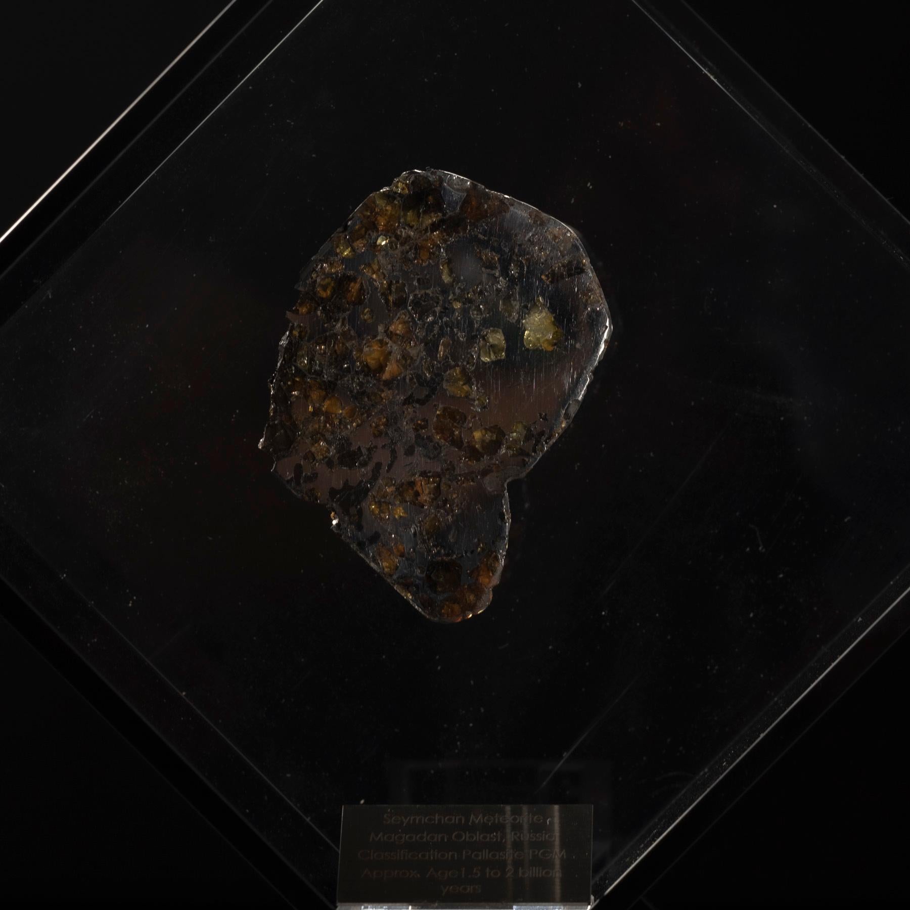 Acrylique Conception originale, Seymchan avec Olivine Meteorite dans une vitrine en acrylique noire en vente