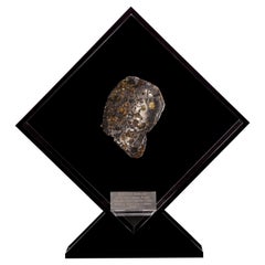 Original Design, Seymchan with Olivine Meteorite in a Black Acrylic Display