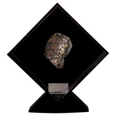 Diseño original, Seymchan con meteorito de olivino en un expositor acrílico negro