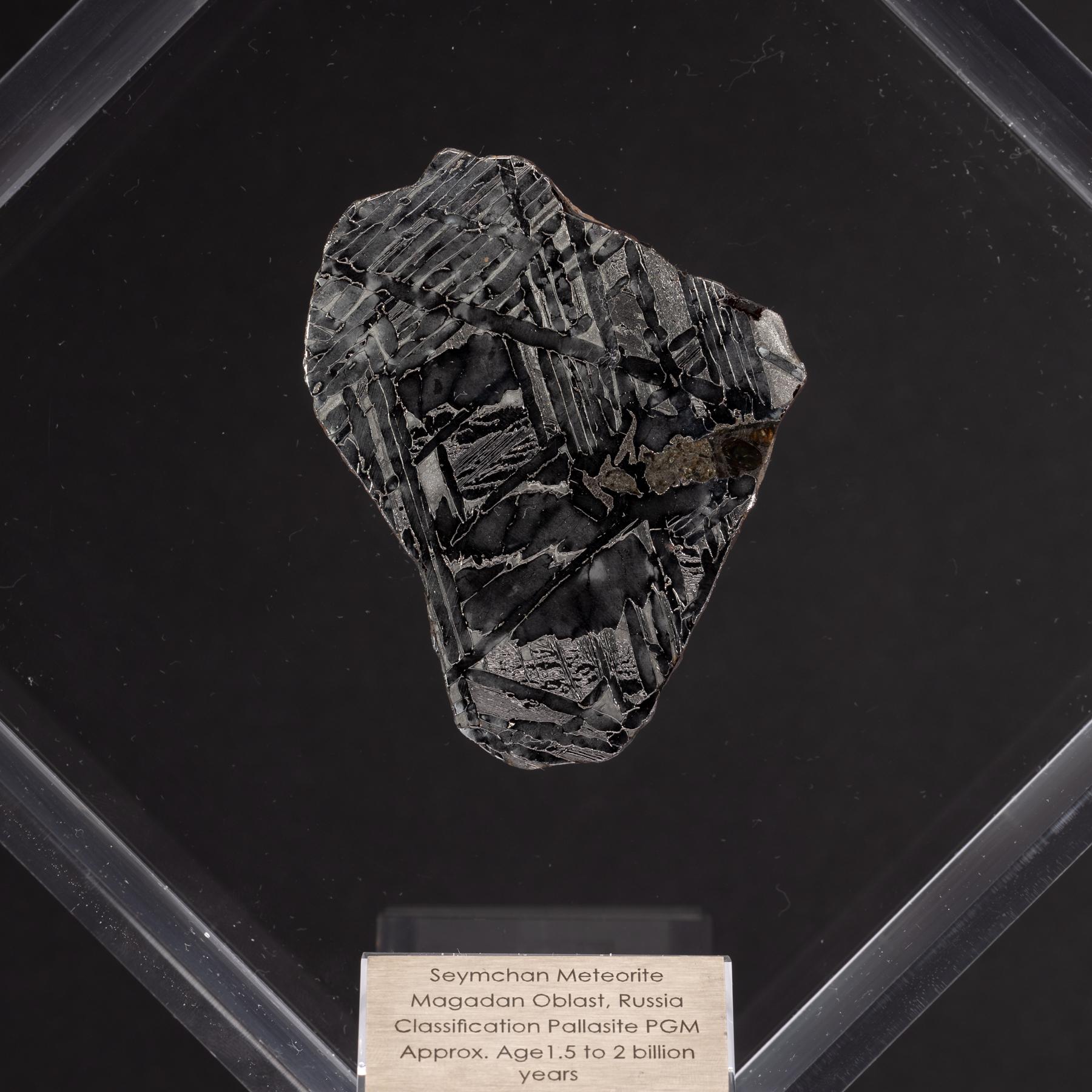 Organique Conception originale de Seymchan avec une météorite olivienne dans une vitrine en acrylique transparente en vente