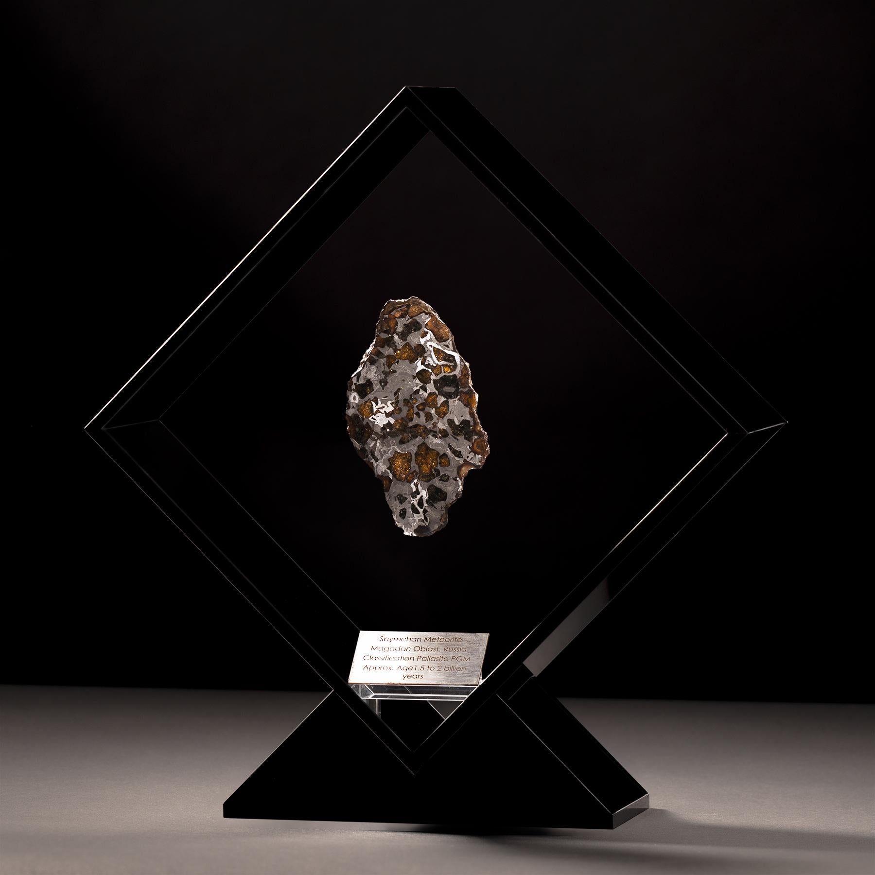 Organic Modern Original Design, Seymchan with Ovaline Meteorite in a Black Acrylic Display