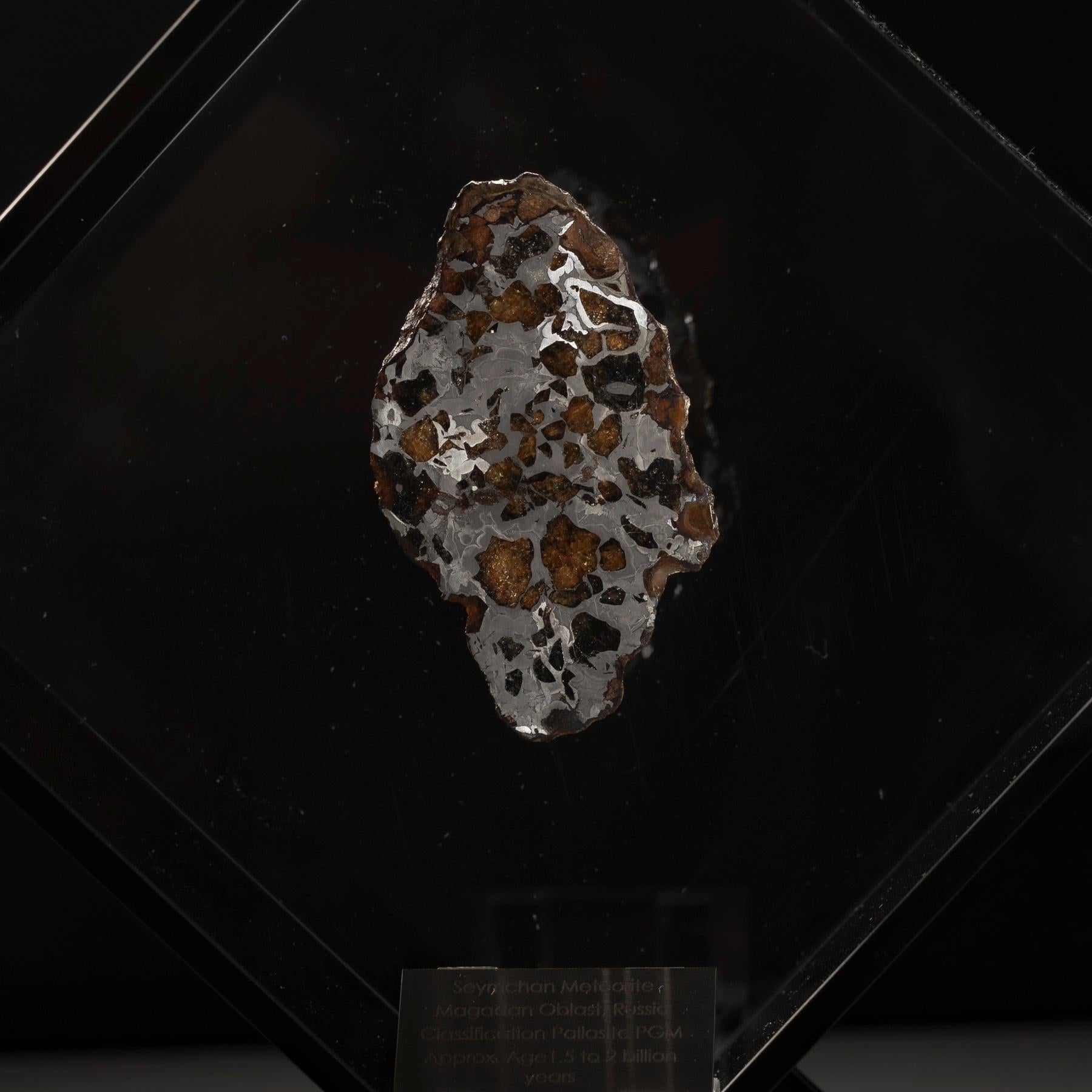 Contemporary Original Design, Seymchan with Ovaline Meteorite in a Black Acrylic Display