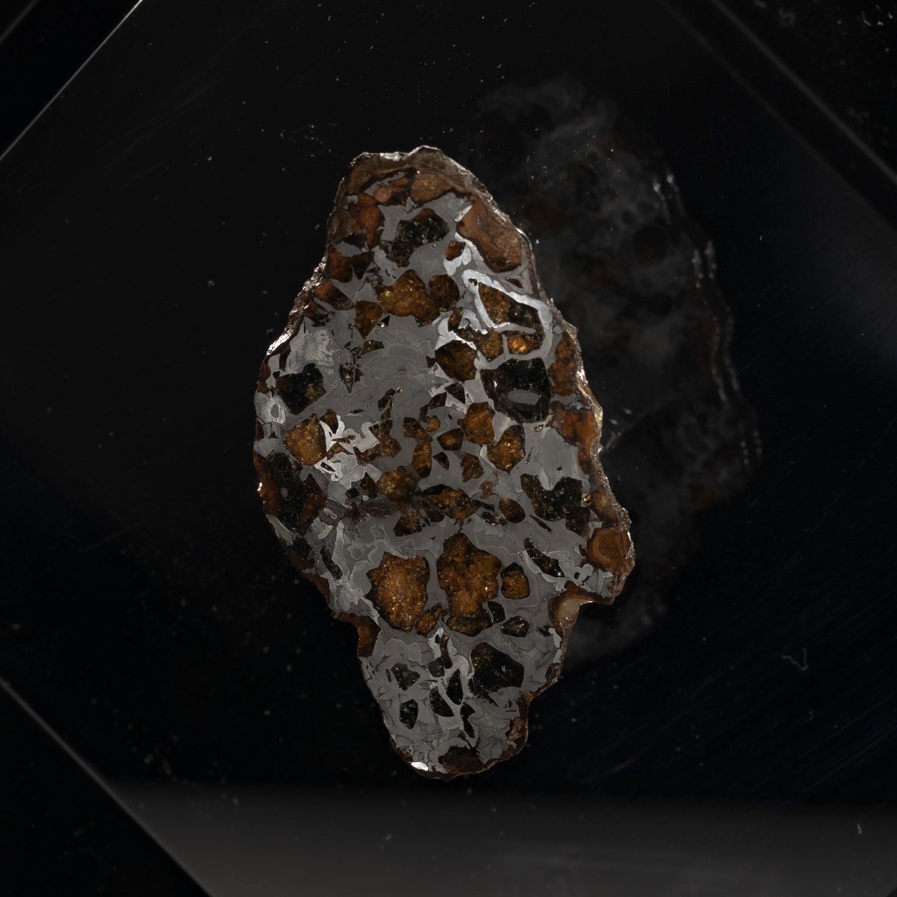 Original Design, Seymchan with Ovaline Meteorite in a Black Acrylic Display 1