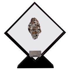 Conception originale, Seymchan avec ovaline Meteorite dans un présentoir en acrylique noir