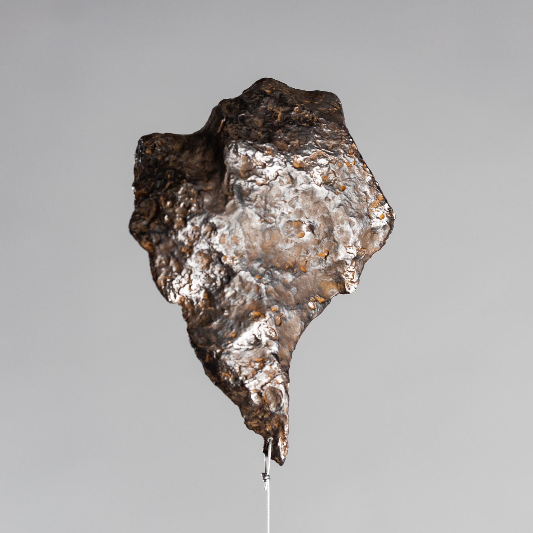 Boîte d'origine, boîte spatiale, météorite de Chinge dans une boîte en acrylique Neuf - En vente à Polanco, CDMX