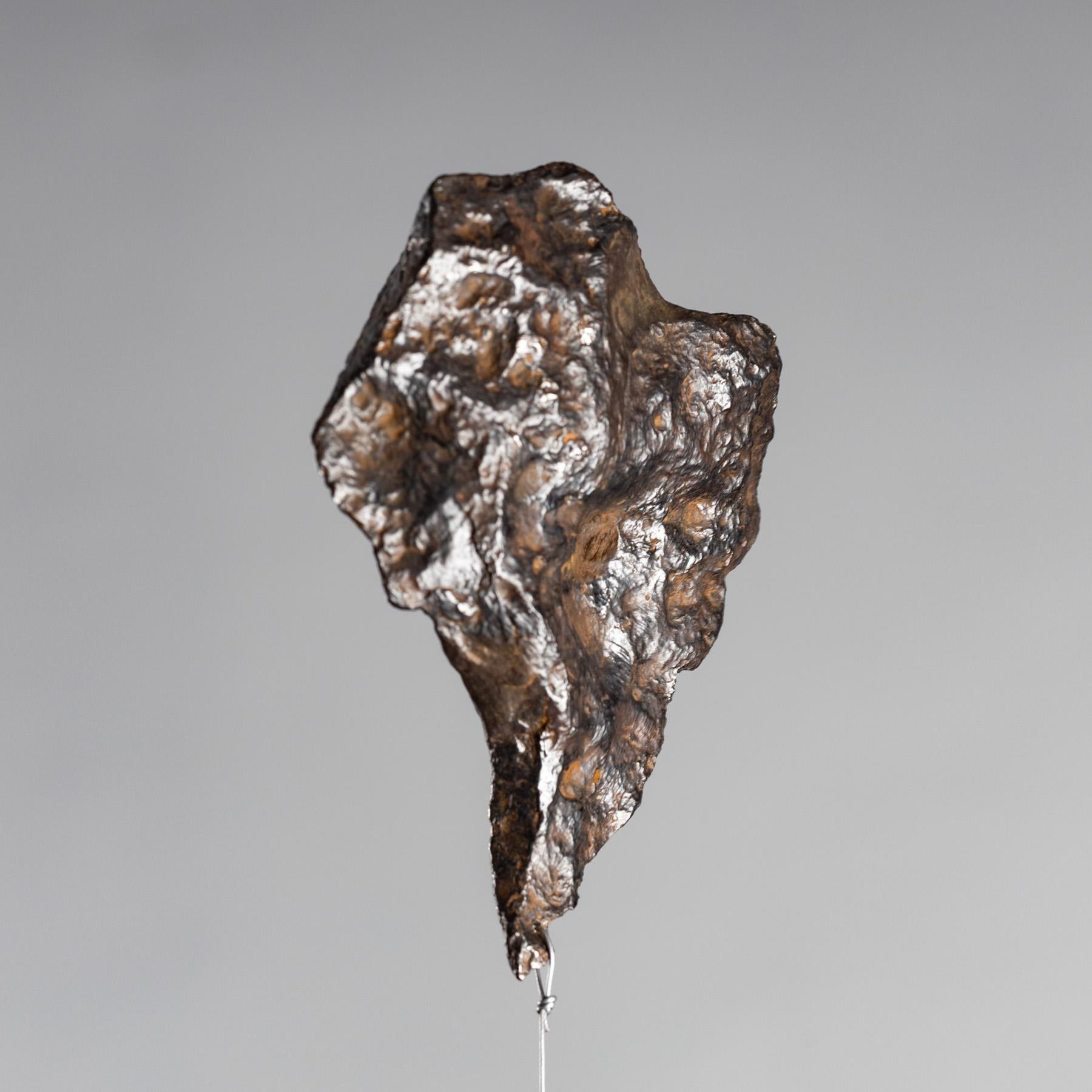 XXI secolo e contemporaneo Design originale, A Space Box, Meteorite di Chinge in scatola acrilica in vendita