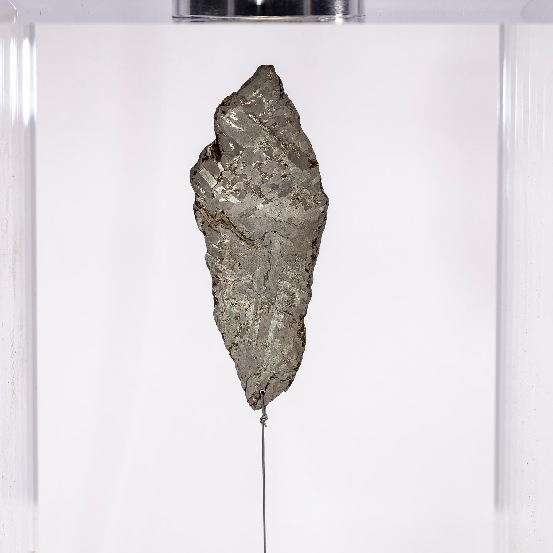Contemporary Original Design, Space Box, Gibeon Meteorite from Namibia in Acrylic Box
