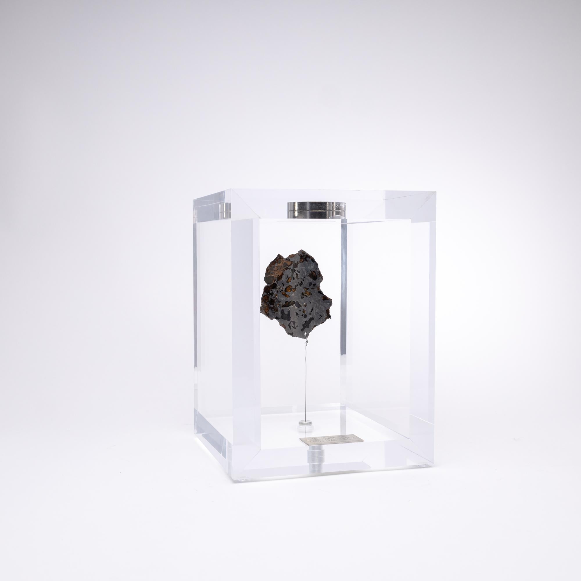 Organic Modern Original Design, Space Box, Russian Seymchan with Olivine Meteorite