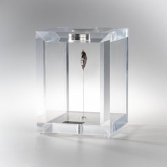 Original Design, Space Box, Russian Sikhote Alin Meteorite in Acrylic Box