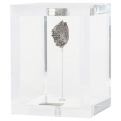 Original Design, Space Box, Russian Sikhote Alin Meteorite in Acrylic Box