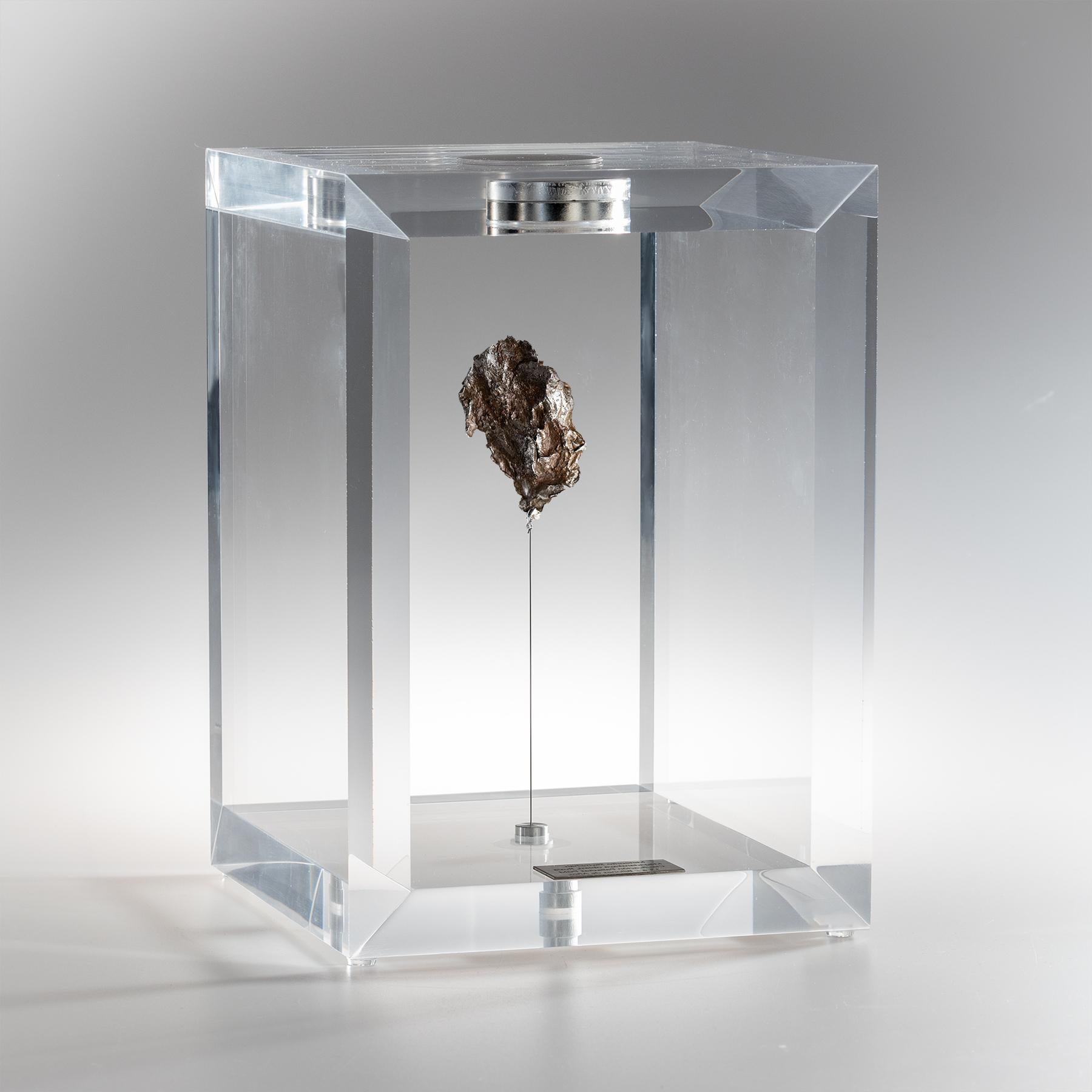 Organico moderno Design originale, A Space Box, Meteorite Sikhote Alin in scatola acrilica in vendita