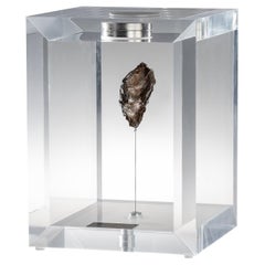 Original Design, Space Box, Sikhote Alin Meteorite in Acrylic Box