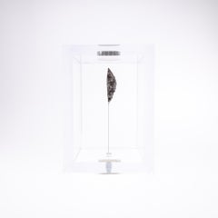 Original Design, Space Box, Swedish Muonionalusta, Meteorite in Acrylic Box