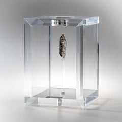 Original Design, Space Box, Swedish Muonionalusta, Meteorite in Acrylic Box
