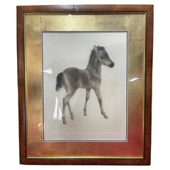 Original Drypoint of a Foal by Kurt Meyer-Eberhardt (1895–1977)