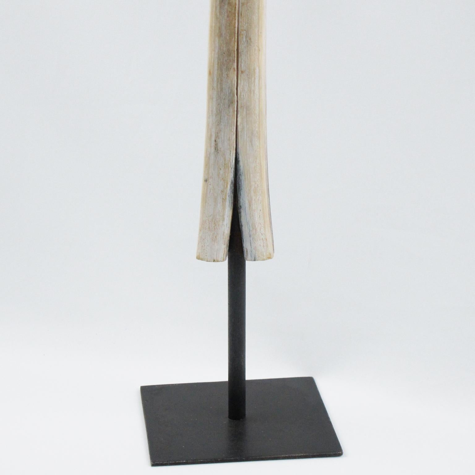 swordfish bill mount