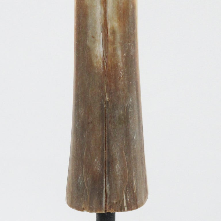 Original Early 20th Century Mounted Swordfish Bill at 1stDibs