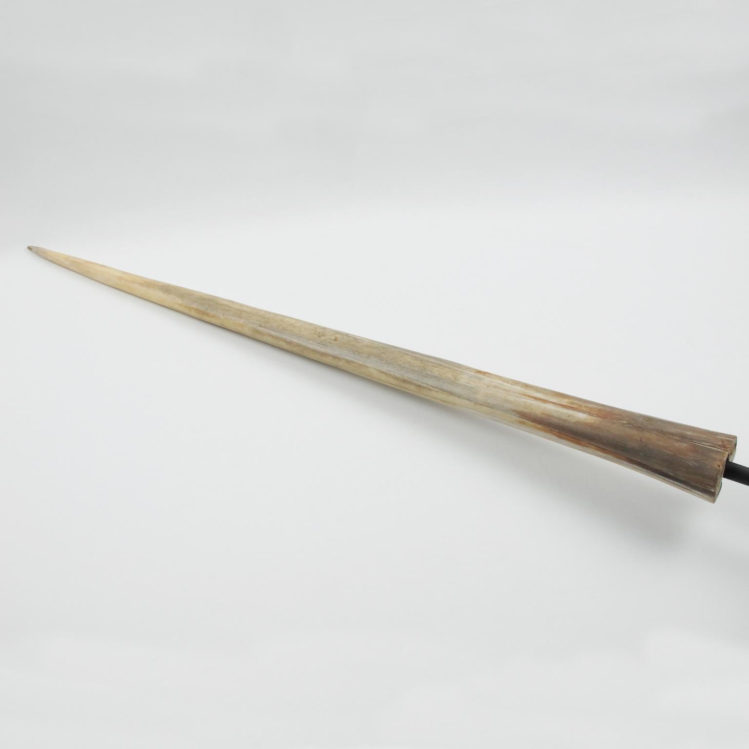swordfish bill for sale