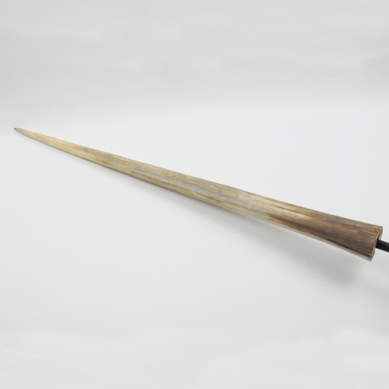 Original Early 20th Century Mounted Swordfish Bill at 1stDibs