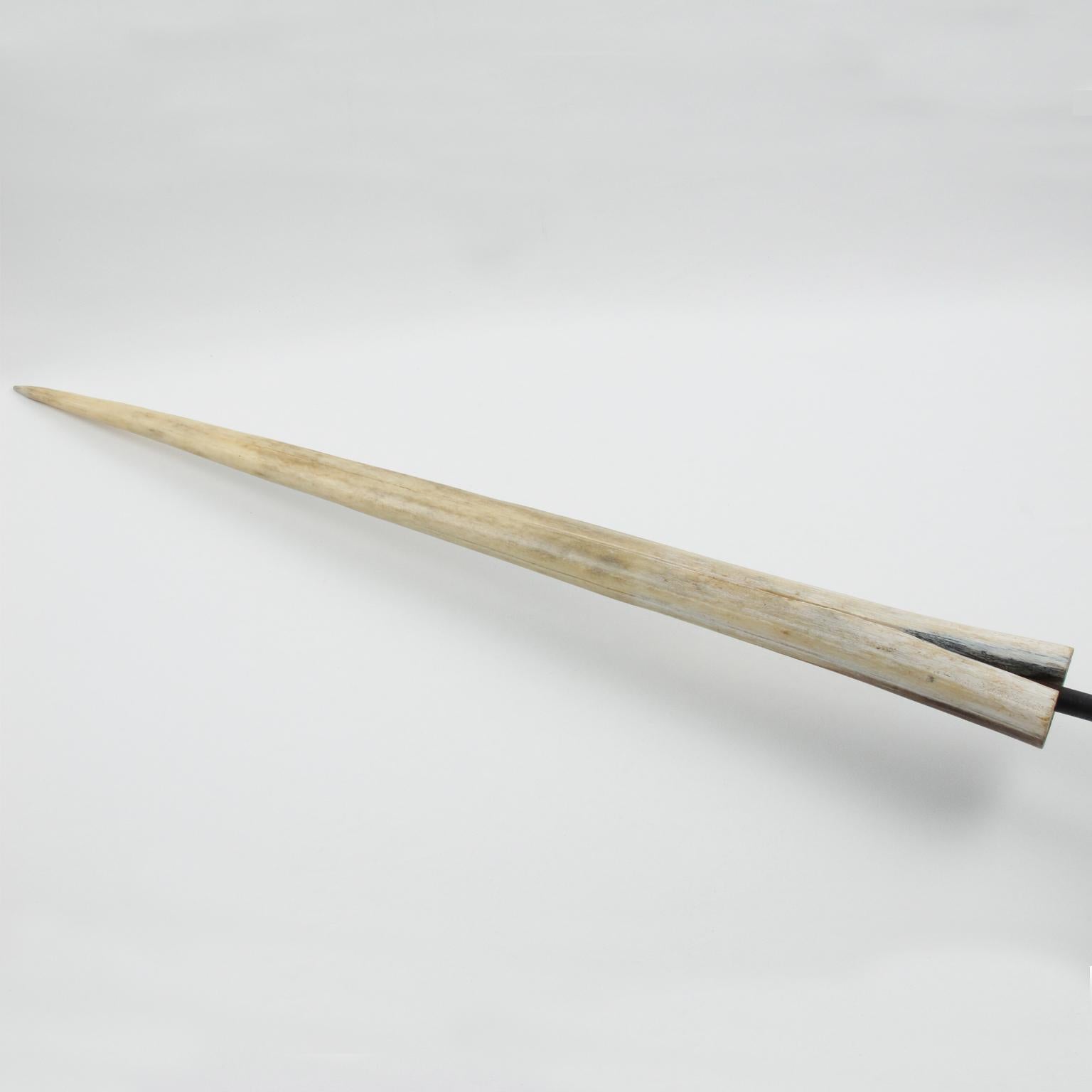French Original Early 20th Century Mounted Swordfish Bill