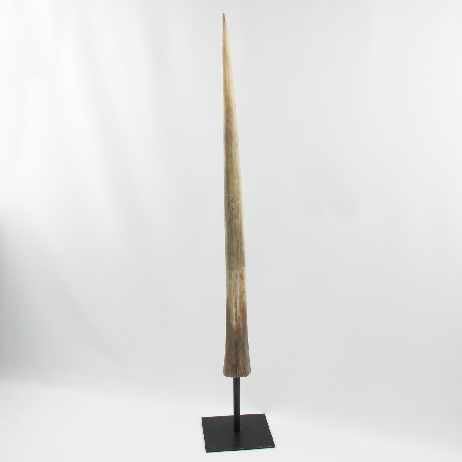 Original Early 20th Century Mounted Swordfish Bill In Good Condition In Atlanta, GA
