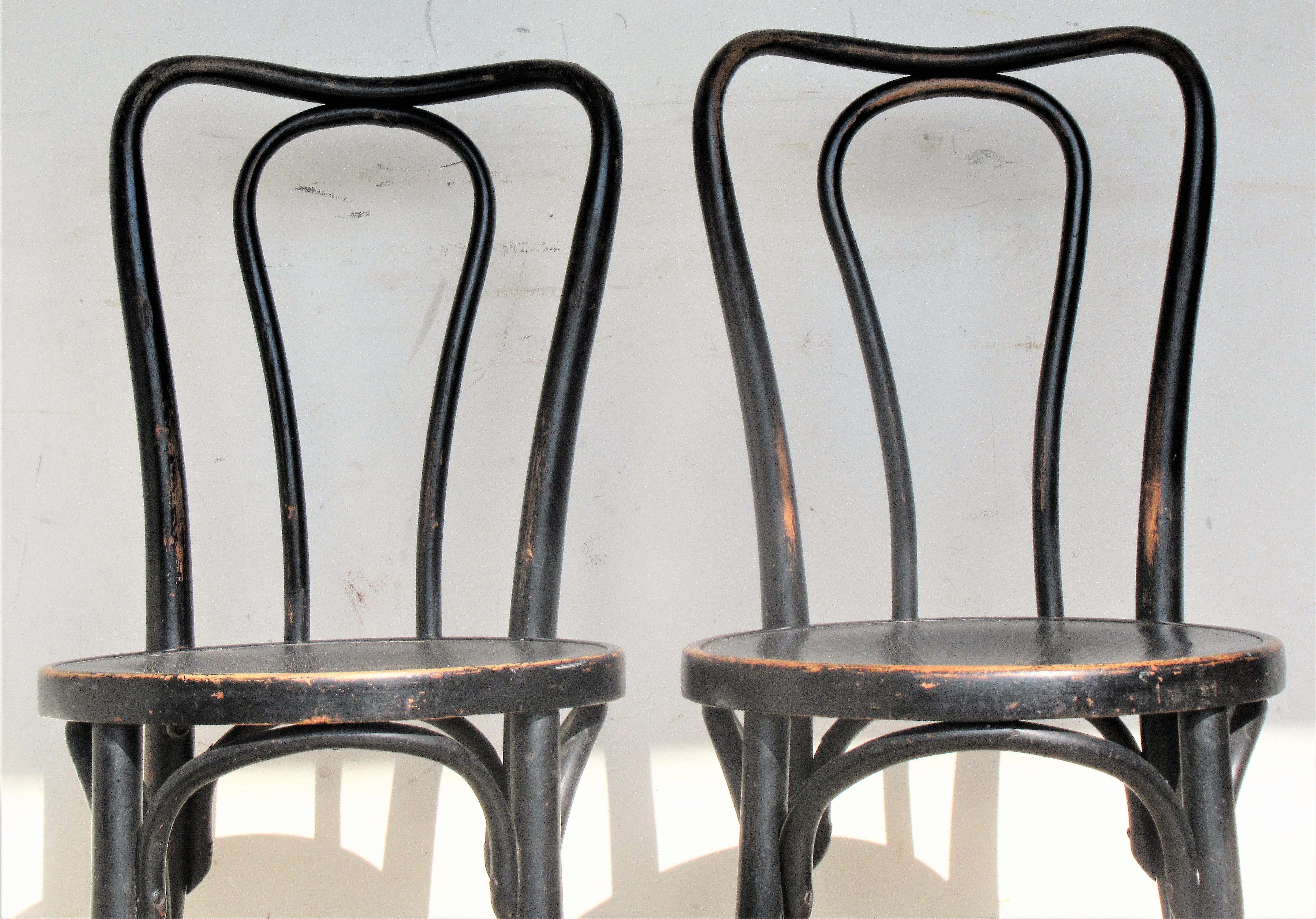 Ebonized Bentwood Chairs by J & J Kohn and Mundus 4