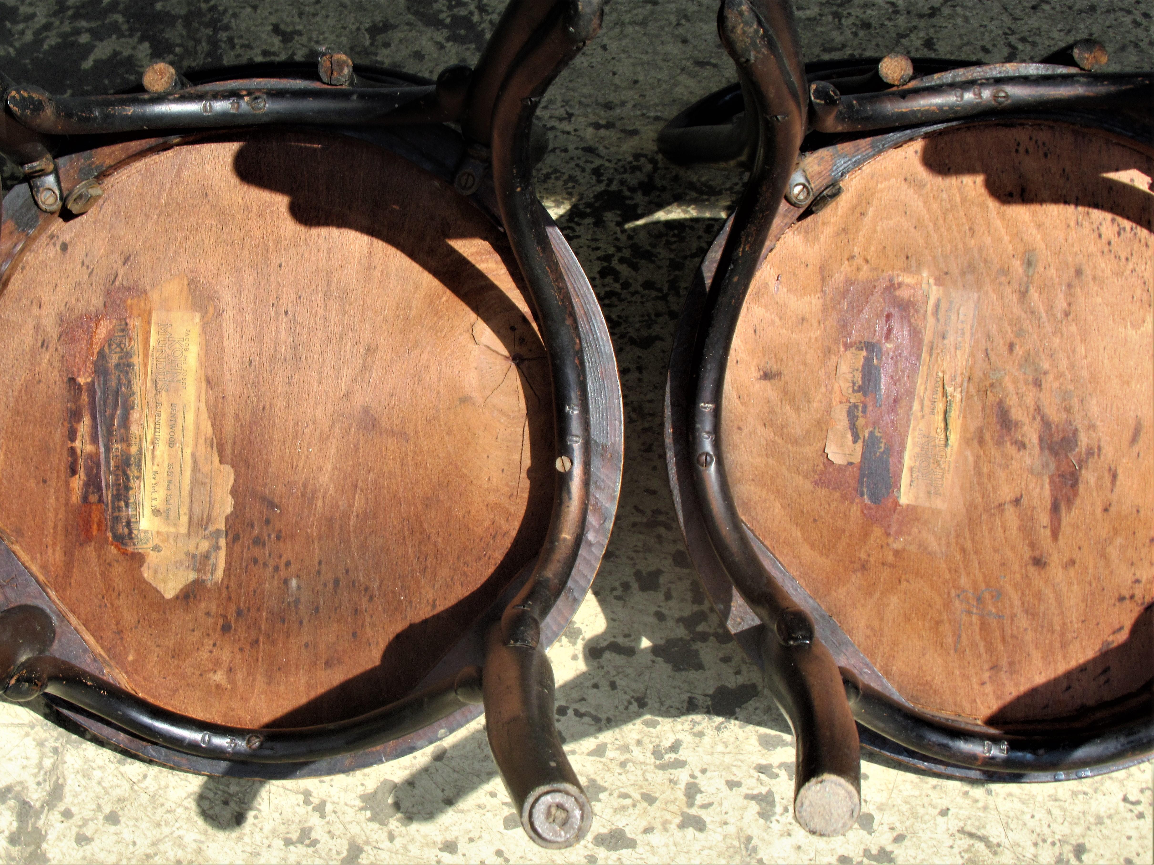 Ebonized Bentwood Chairs by J & J Kohn and Mundus 8