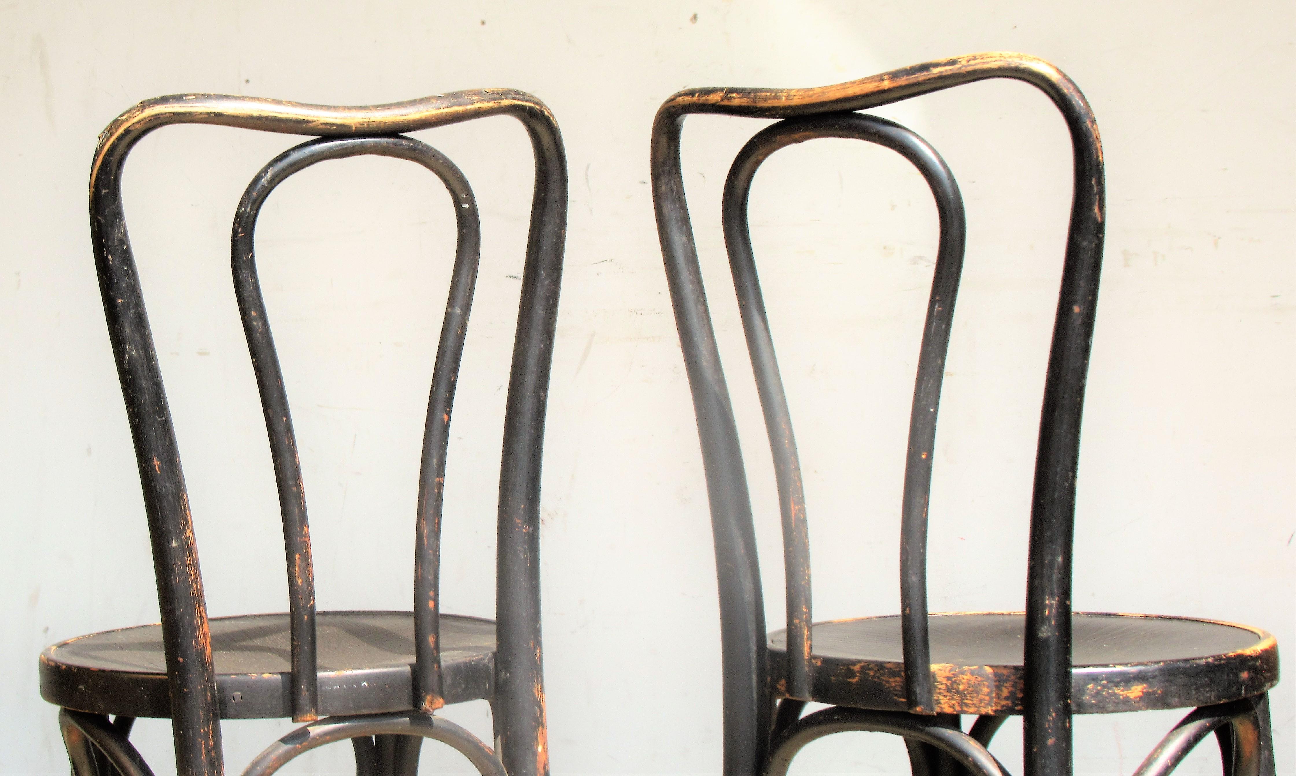 Ebonized Bentwood Chairs by J & J Kohn and Mundus 1
