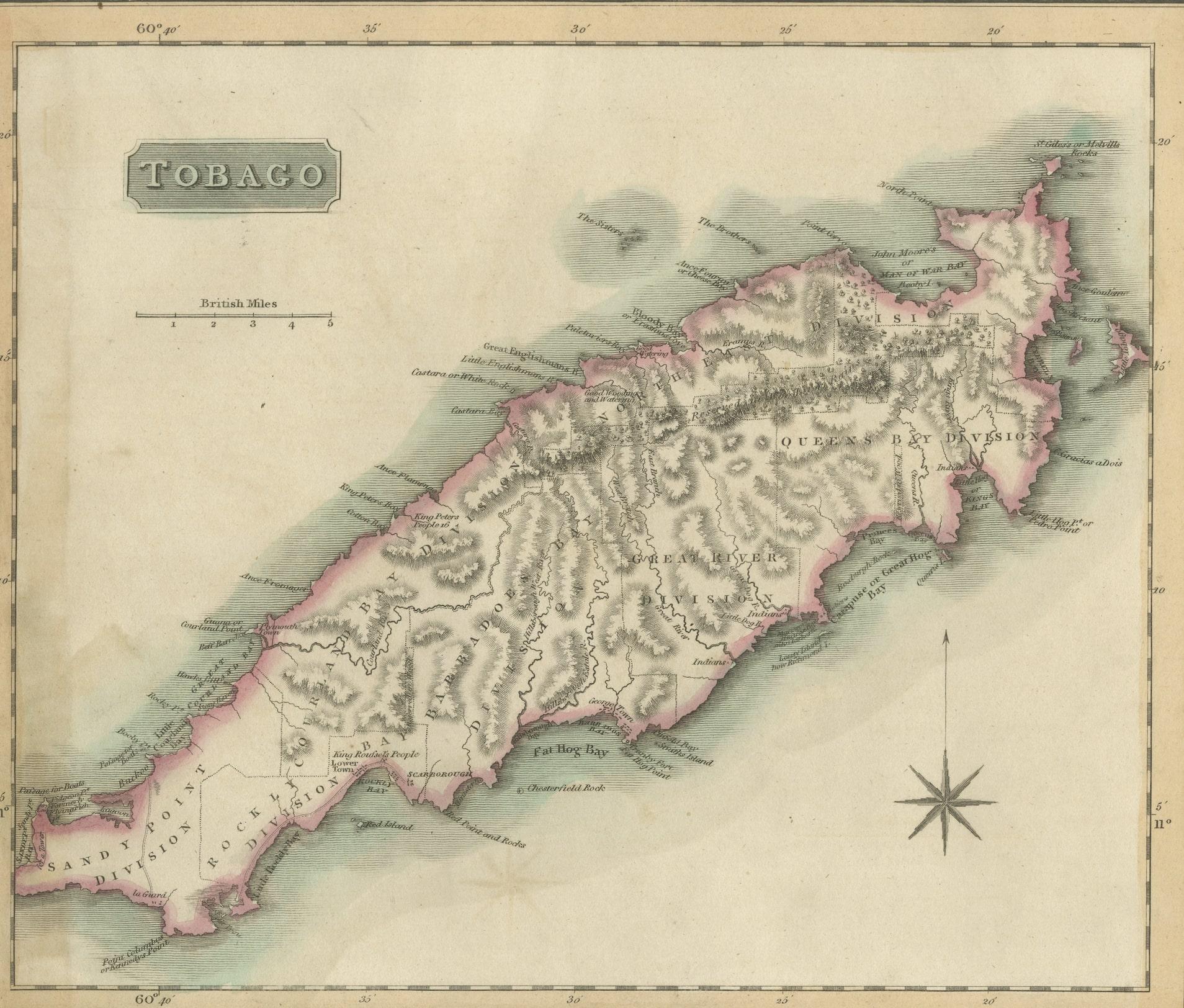 Discover Tobago in 1816: Original Engraving by John Thomson

This captivating original engraving, created by John Thomson in 1816, unveils a vivid portrayal of Tobago, an island nestled in the West Indies of the Caribbean. Offering a glimpse into